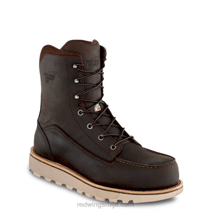 еспрессо DHPH61 Red Wing стиле 98021 комплет за негу 5 комплет за негу - чист стање заштита